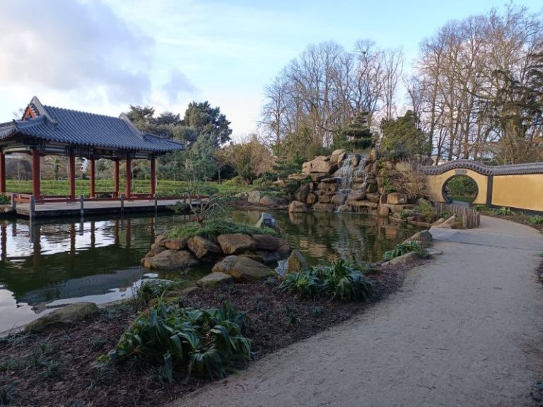 le jardin chinois de maurepas