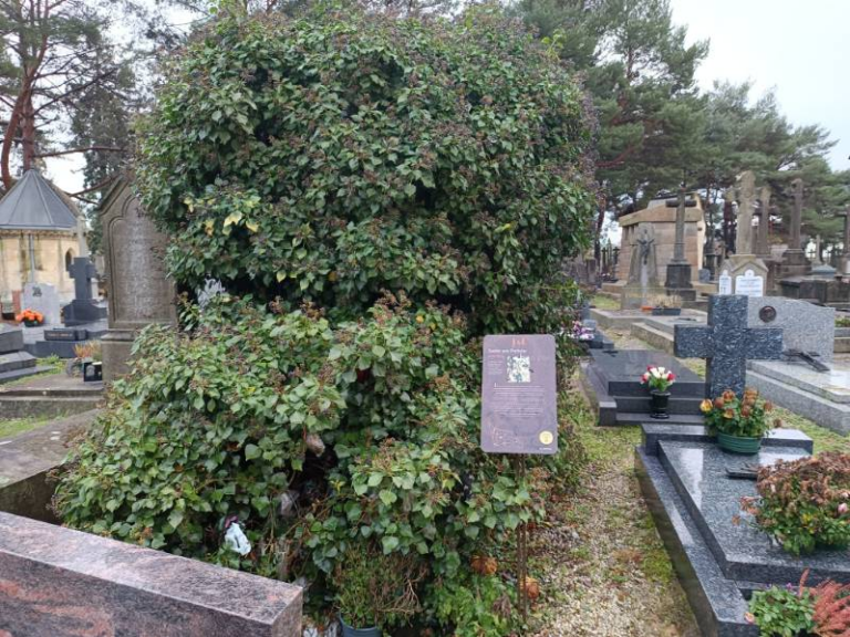 la tombe de la sainte pochon