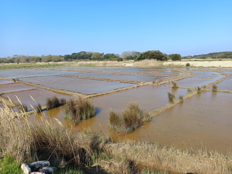 IMG_20260322_110140(1)