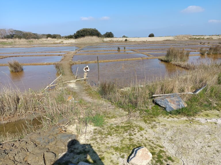 IMG_20260322_112230(1)